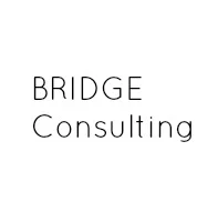 Bridge Consulting.jpg