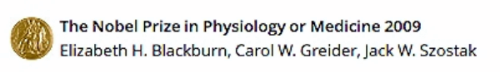 Nobel Prize for Telomerase