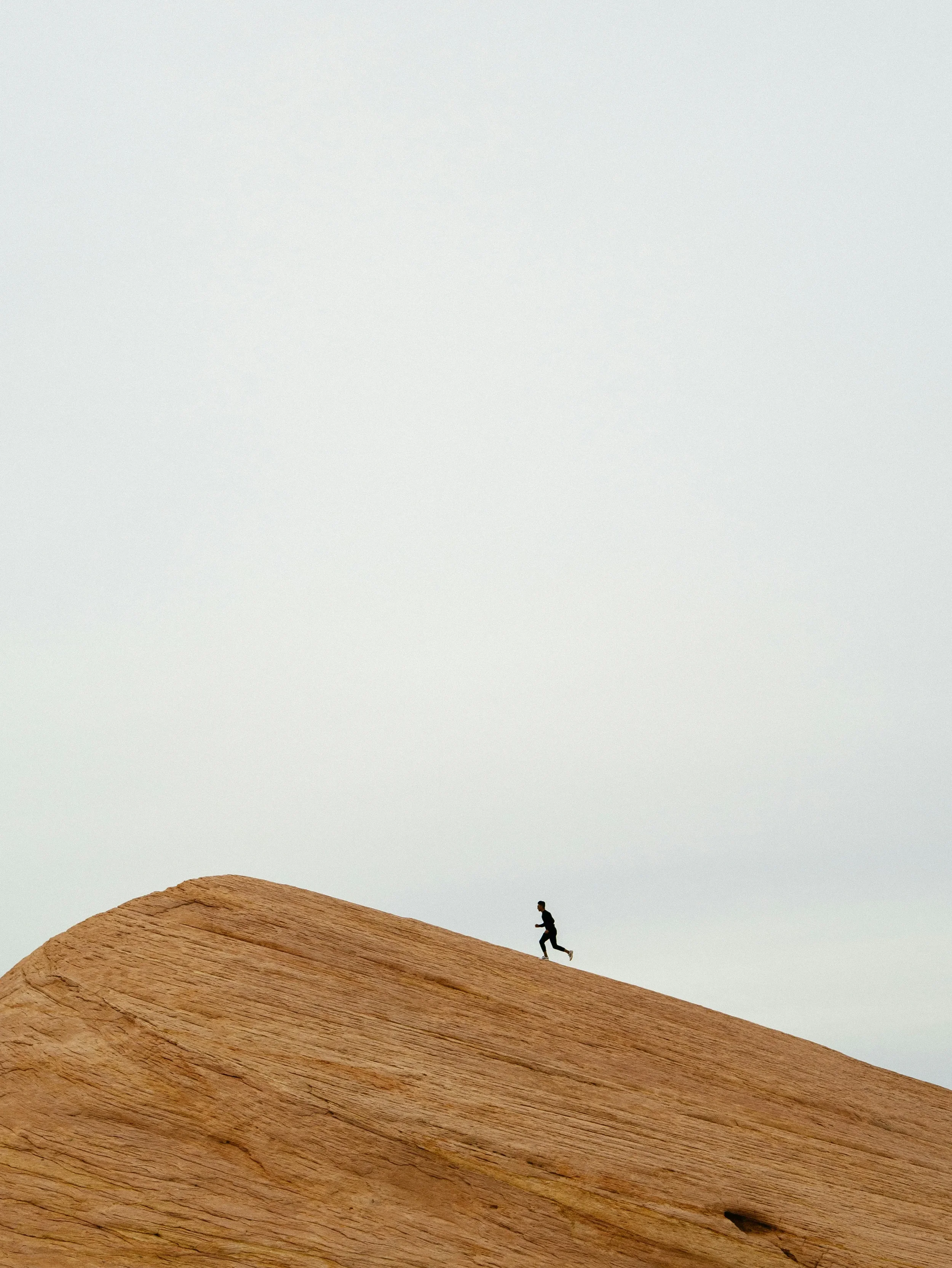 Web Optimization Is a Marathon, Not a Sprint.