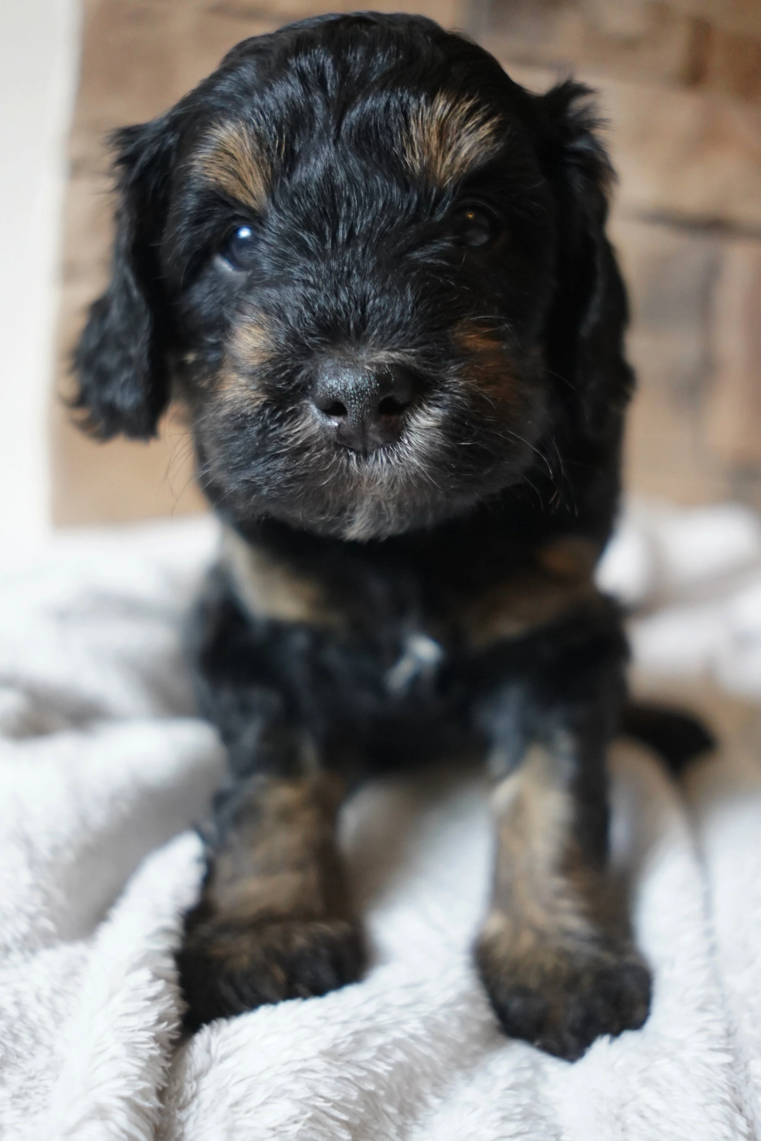 Bruce9.13.26.jpg