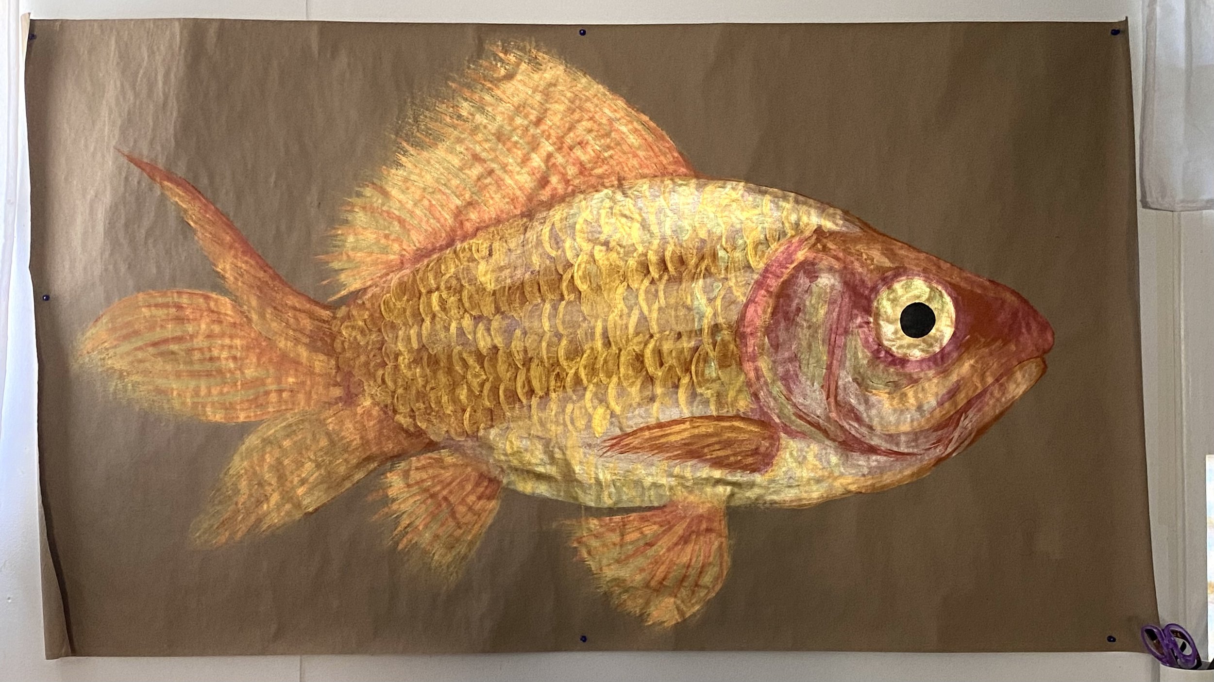 Common Goldfish