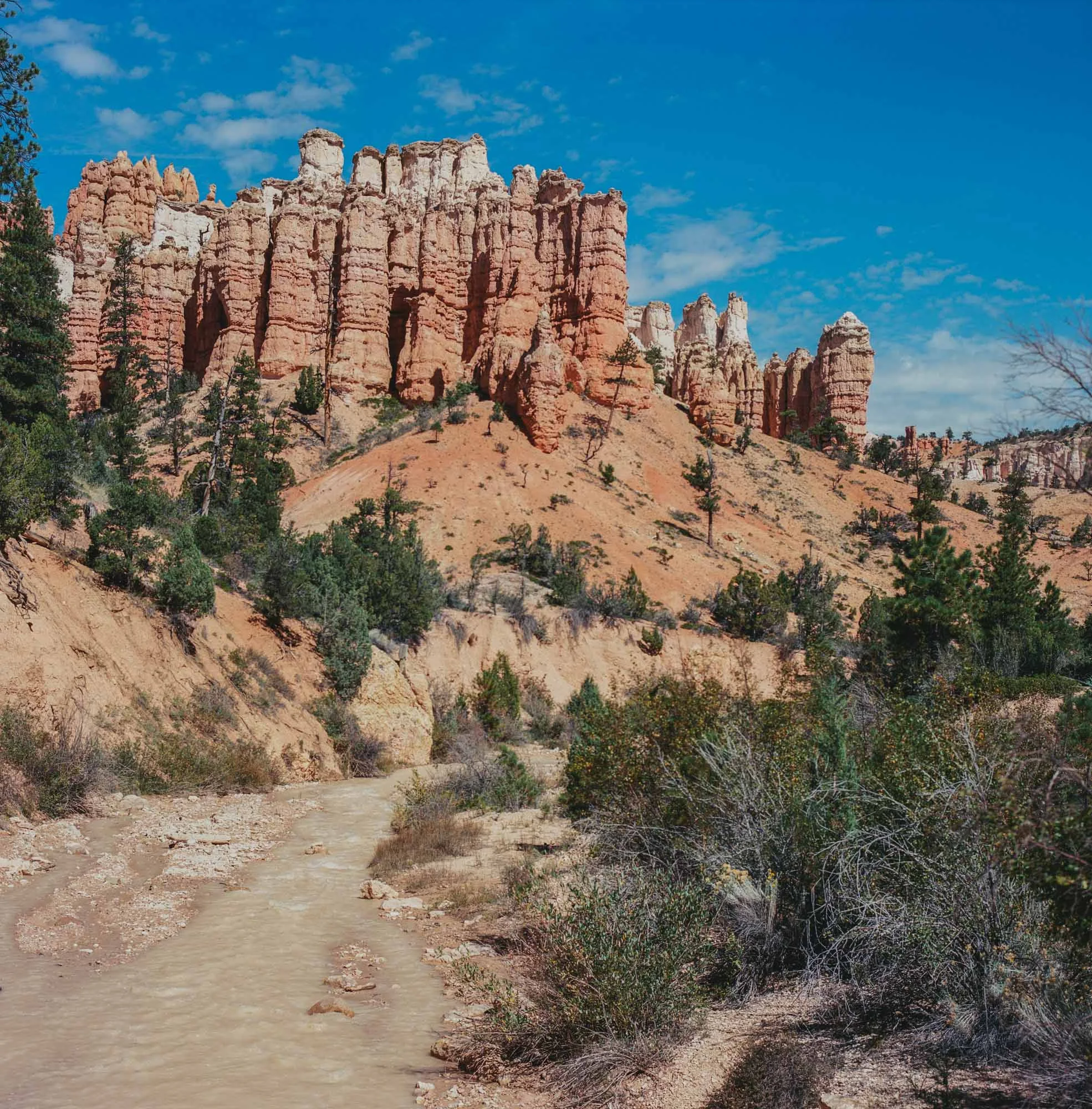 LaurenMcClure_UT-26.jpg
