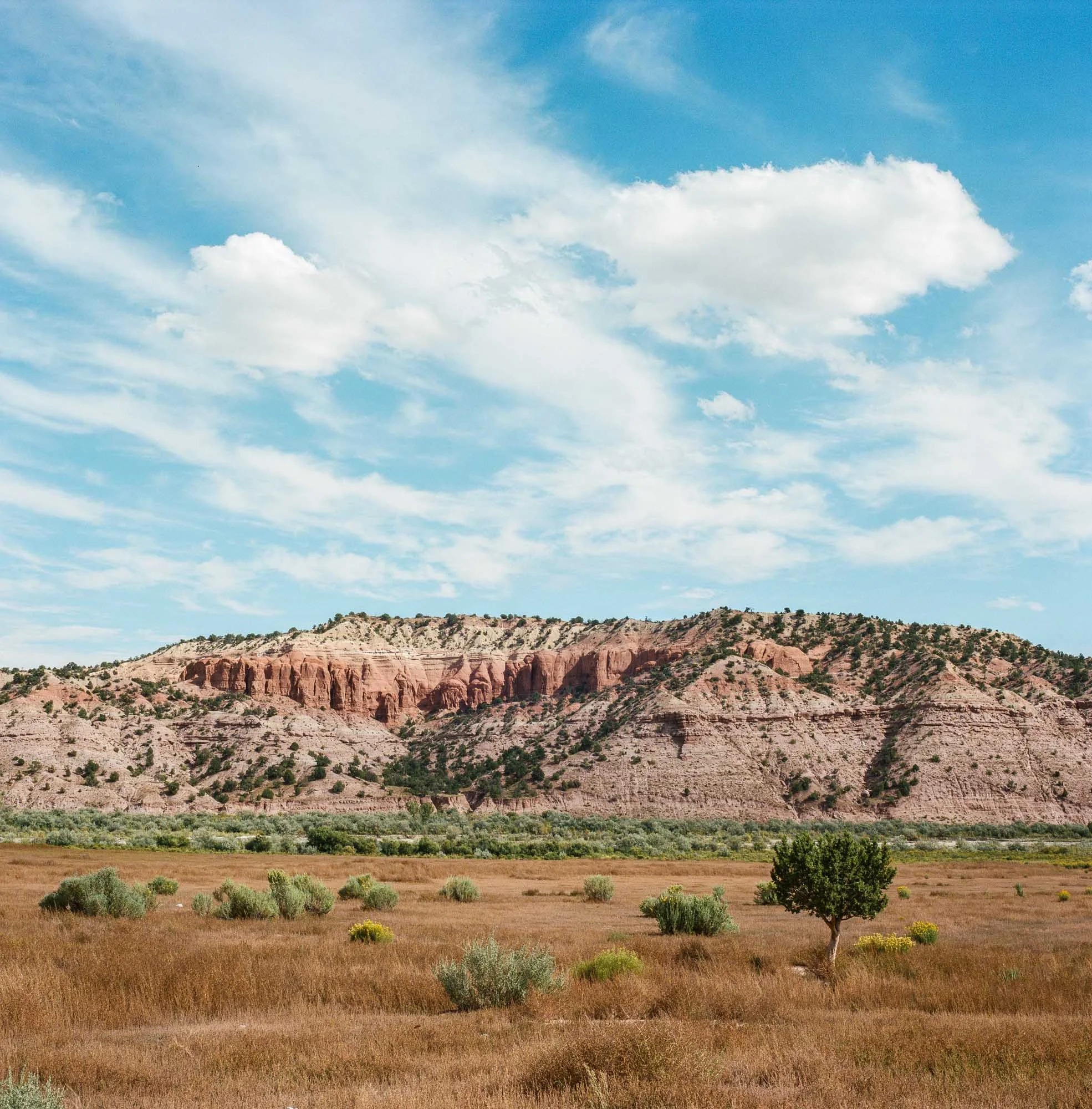 LaurenMcClure_UT-33.jpg