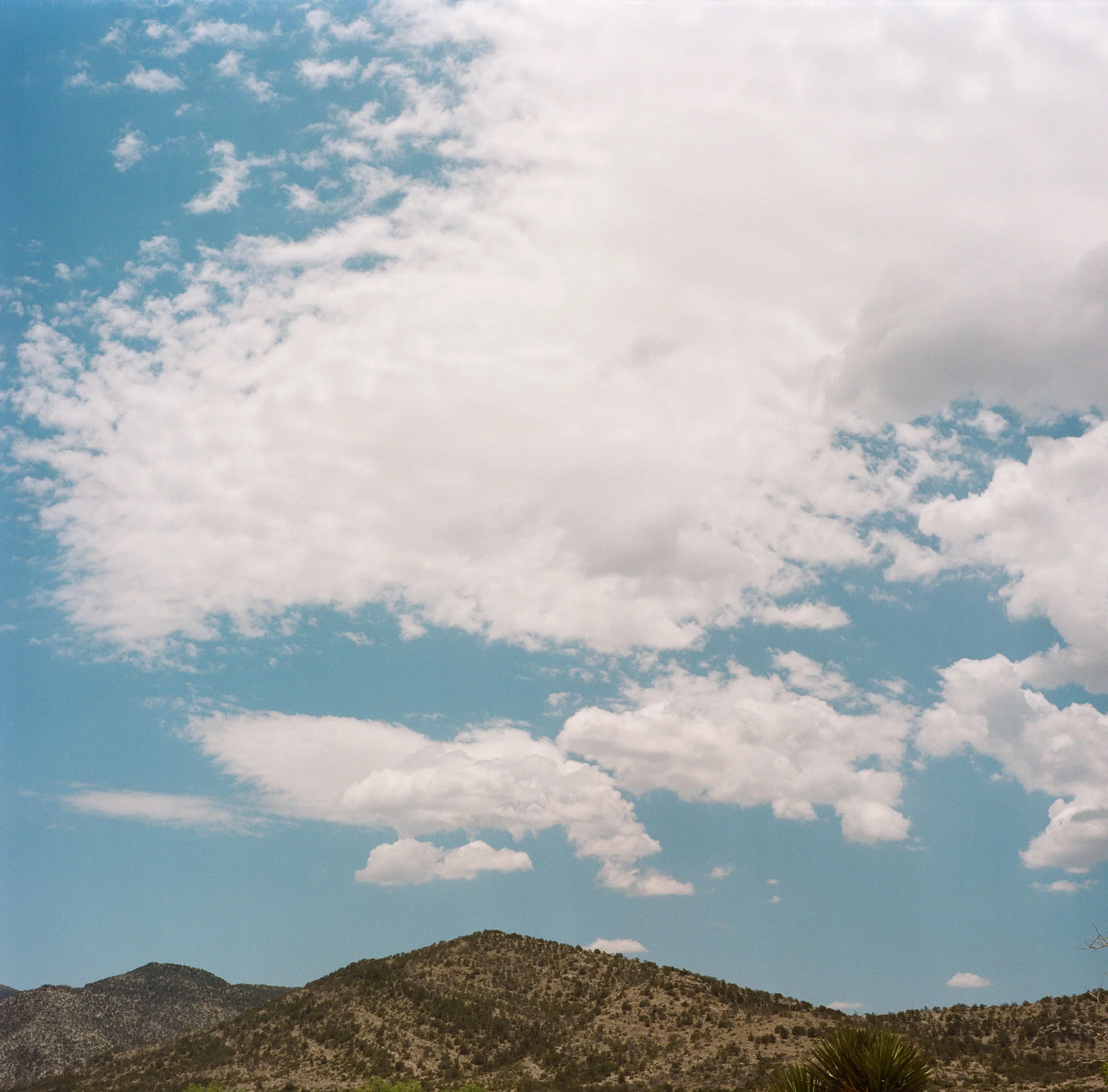LaurenMcClure_WTX-24.jpg