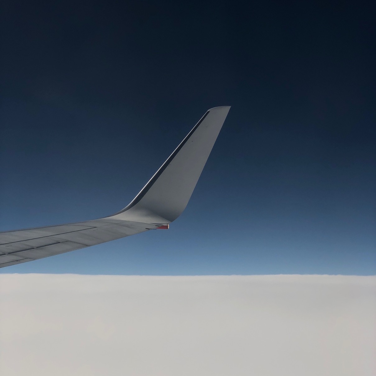 plane-wing-7.jpg