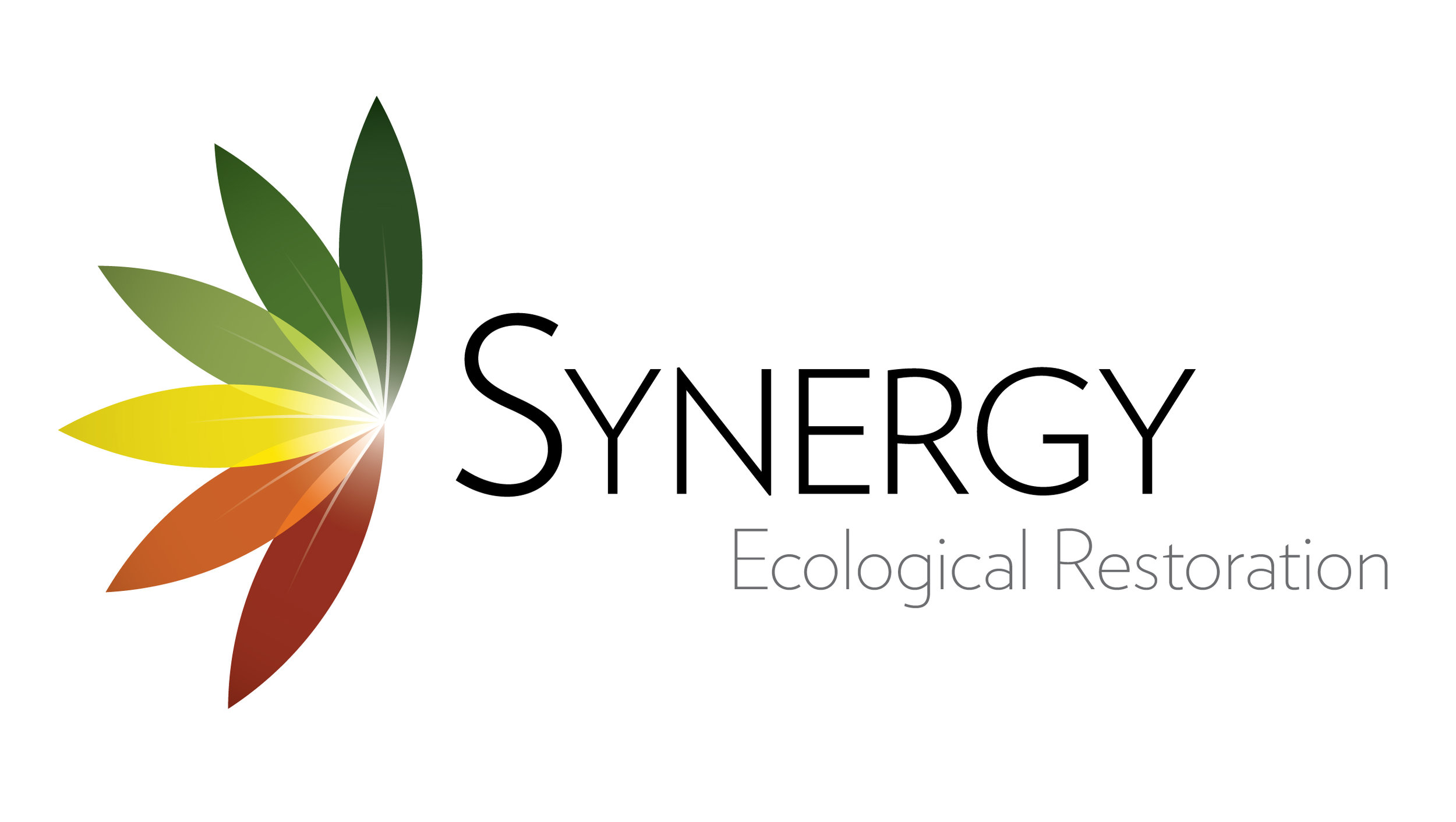 Synergy + SRSN