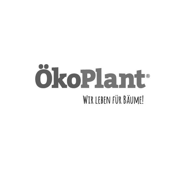 logos-designkitchen20-grey.jpg