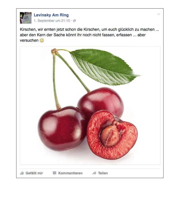 facebook_teaser-kampagne-levinsky-designkitchen-07.jpg