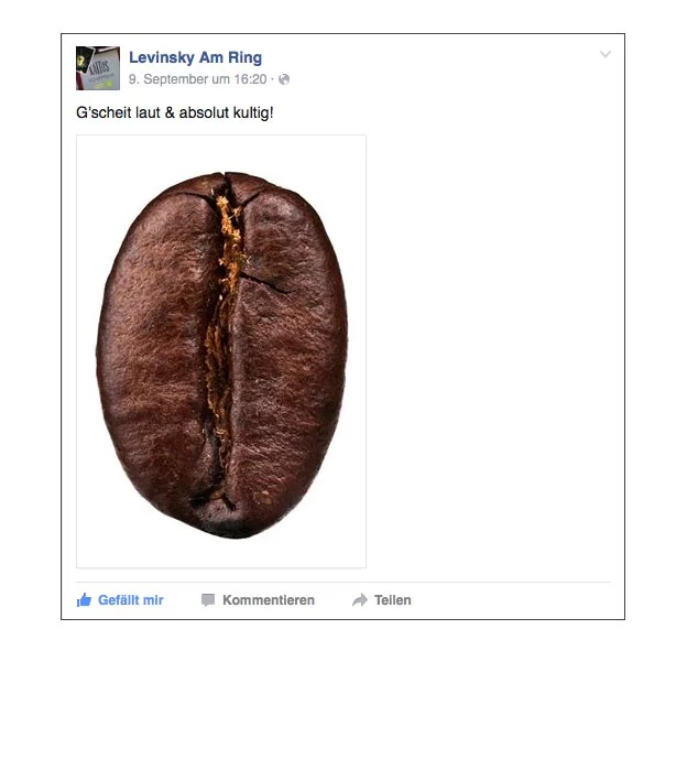 facebook_teaser-kampagne-levinsky-designkitchen-10.jpg