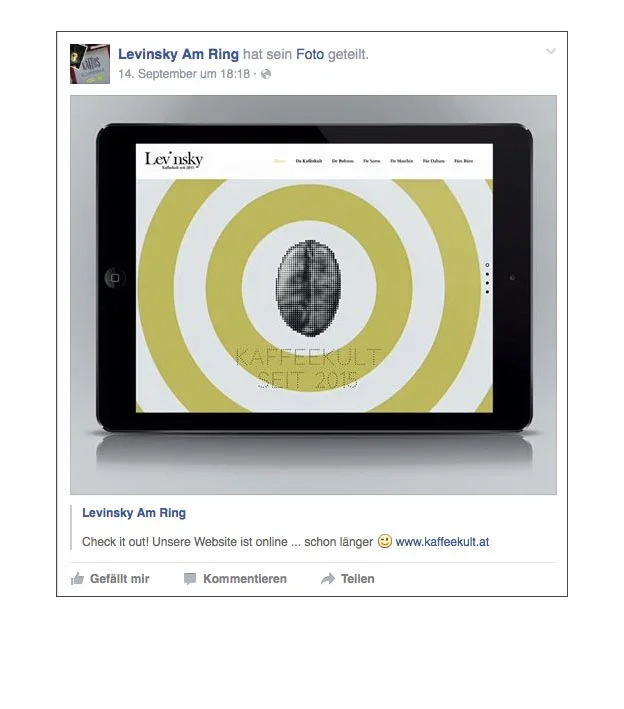 facebook_teaser-kampagne-levinsky-designkitchen-13.jpg