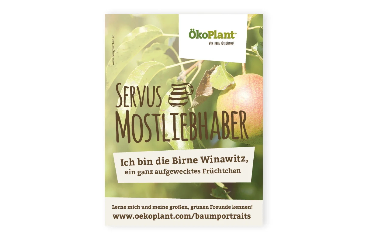 inseratkonzept-2016_oekoplant_designkitchen-3.jpg