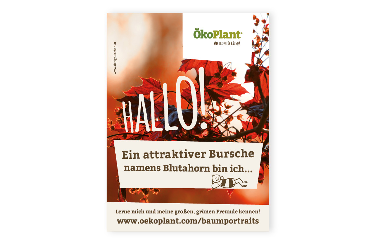 inseratkonzept-2016_oekoplant_designkitchen-5.jpg