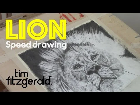 Lion - Speed Drawing in Graphite and Carbon Pencil