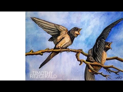 Spring Birds | mini speed painting