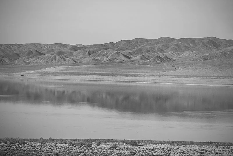 IMG_2723.jpg