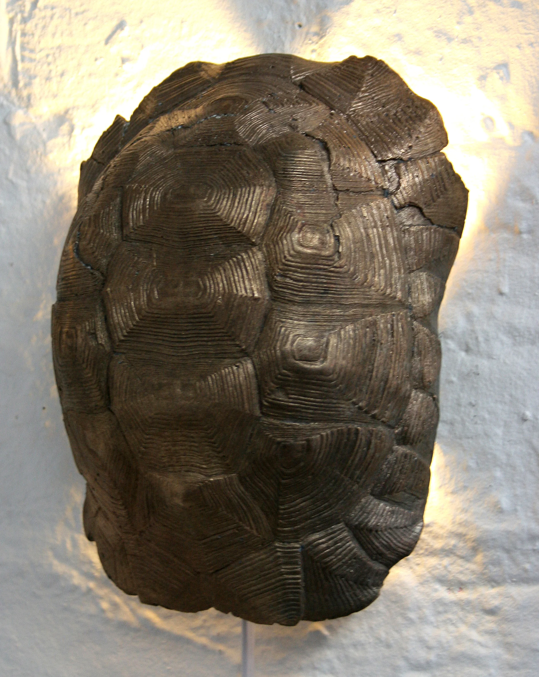 Bronze - 22x15x10cm - 2011