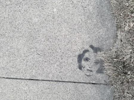 INSPO16.jpg