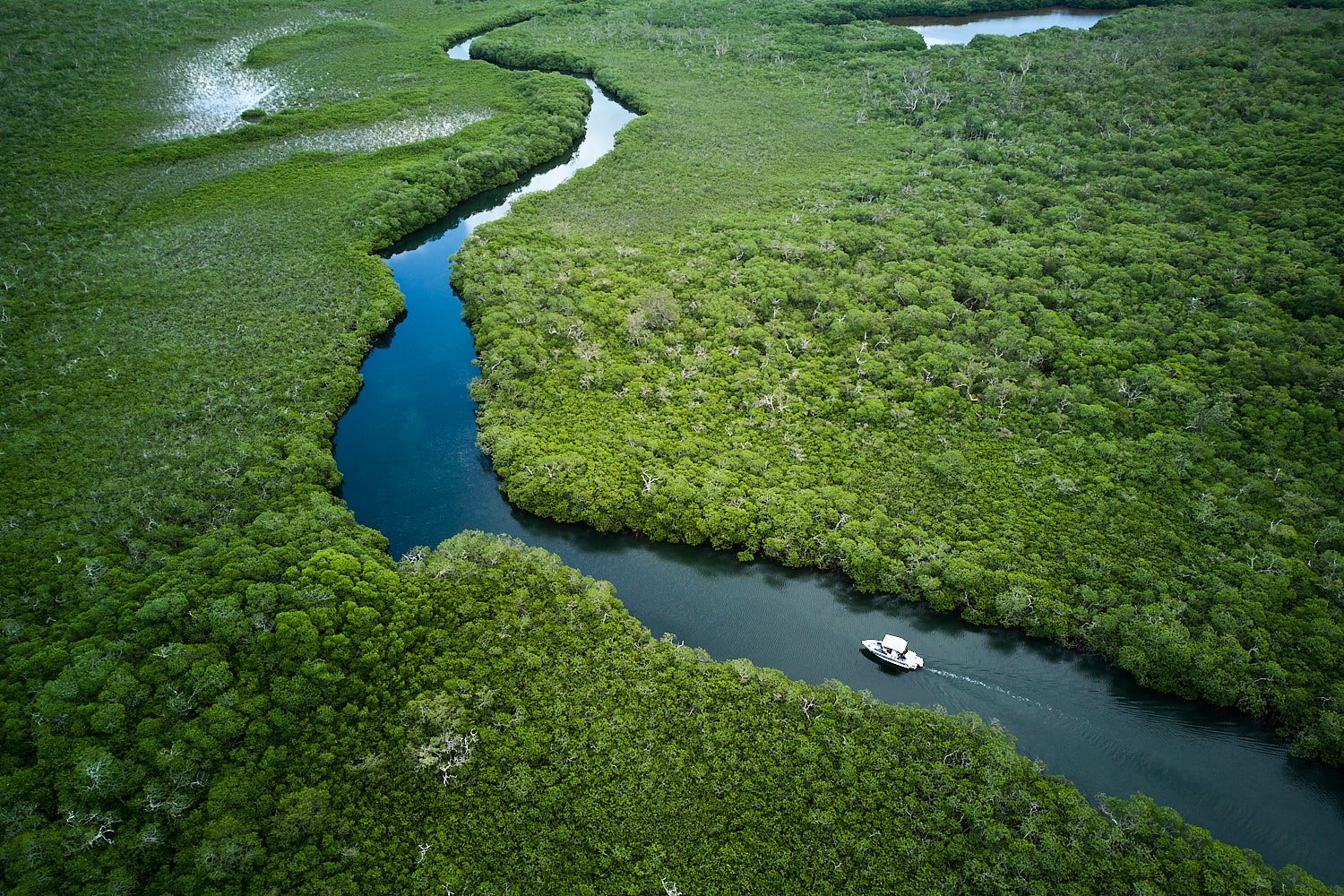 Dron aerial photography of river at Roatan, Honduras - Destination photo for Terra Chula Resort in Roatan, Honduras_JiriLizler_Hospitality Photographer.jpg