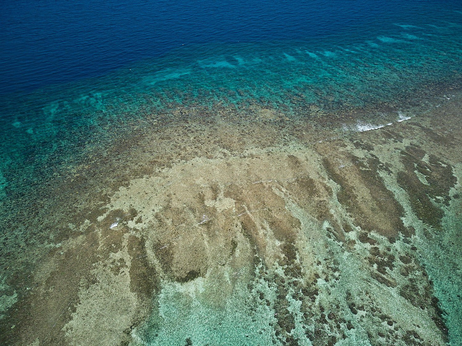Dron aerial photography of the reef - Photo for Terra Chulla Resort in Roatan, Honduras_JiriLizler_Hospitality Photographer.jpg