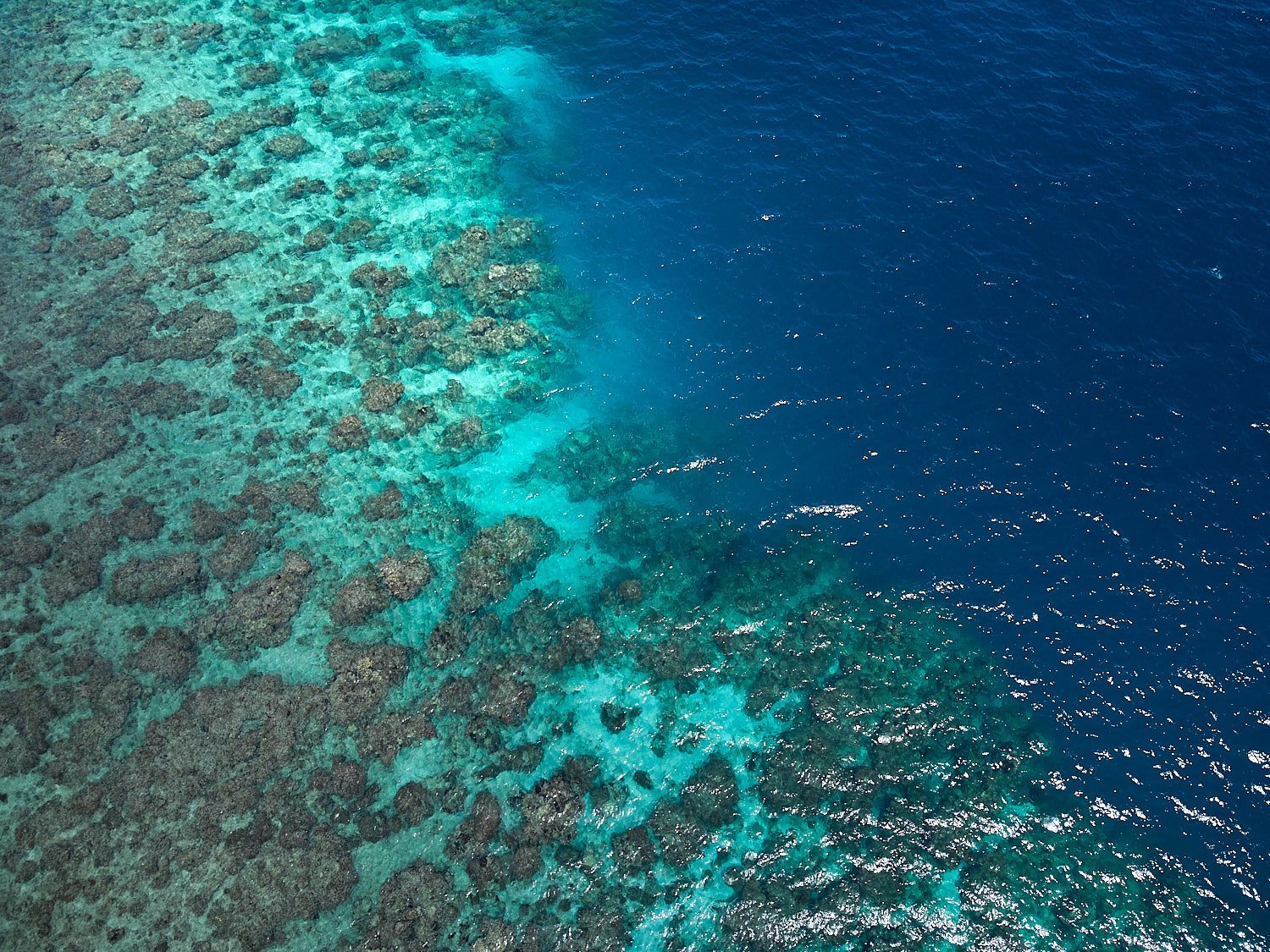 dron traevl photography of the reef in the sea- photo for hotel terra chula, roatan honduras_JiriLizler_Hospitality Photographer.jpg