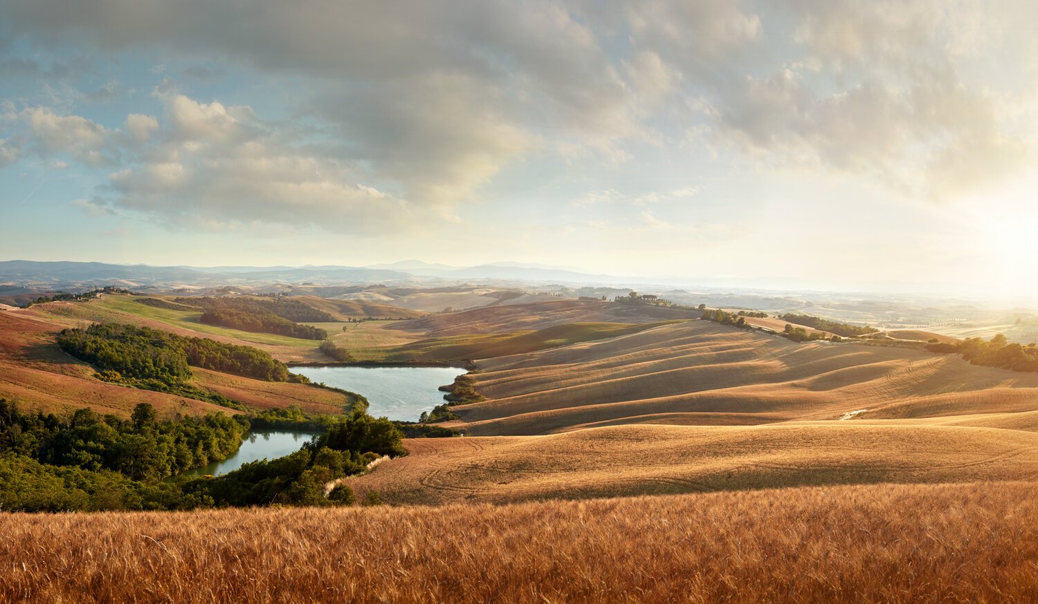 travel photo of field in Tuscany, italy - Field view_JiriLizler_Hospitality Photographer.jpg