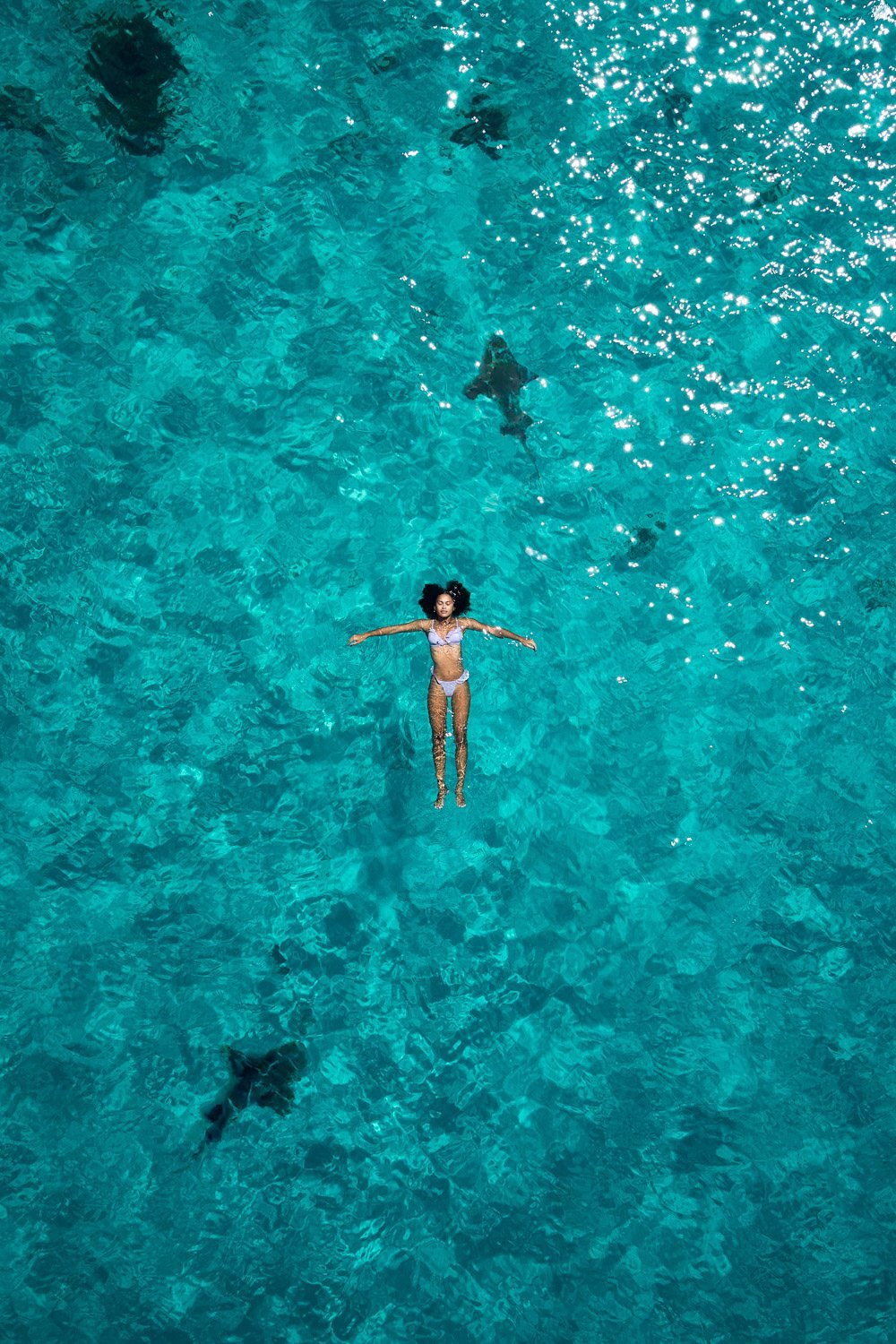 Terra Chula Resort Roatán Honduras - Swimming with sharks