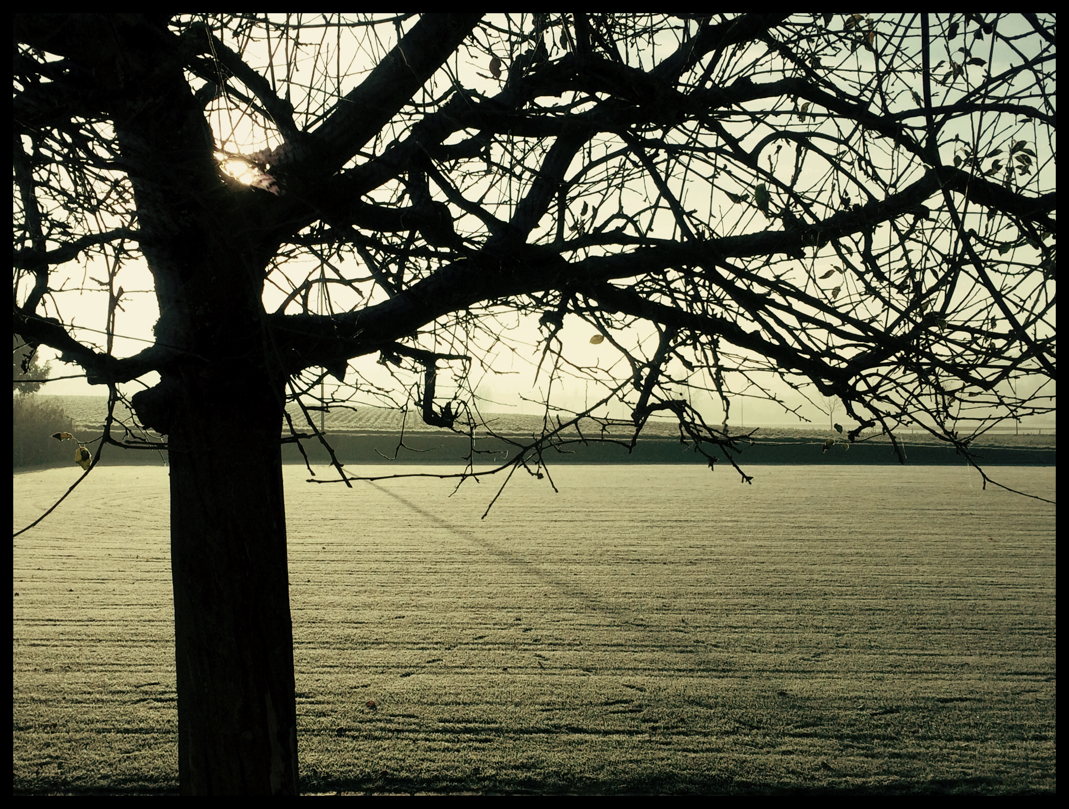 Room with a view