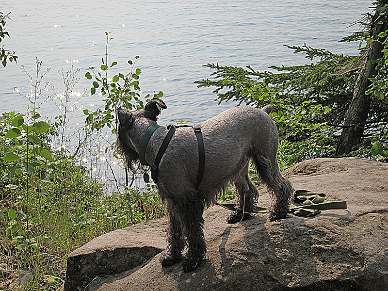 After a cooling dip in Superior (the last for a long time....)