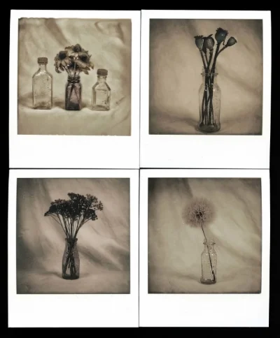 SX-70124.jpg