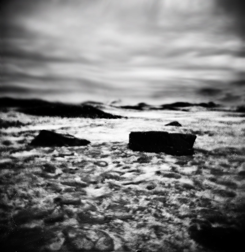 Holga 120N