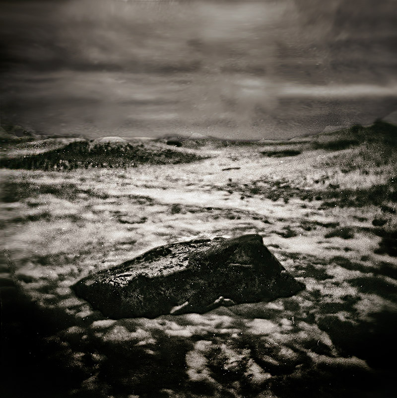 Holga 120N