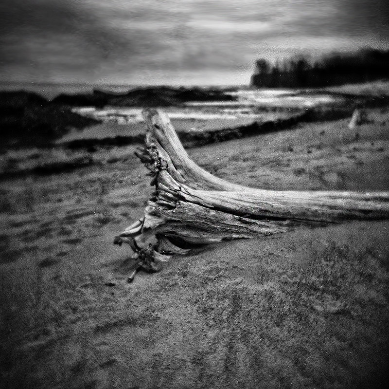 Holga 120N