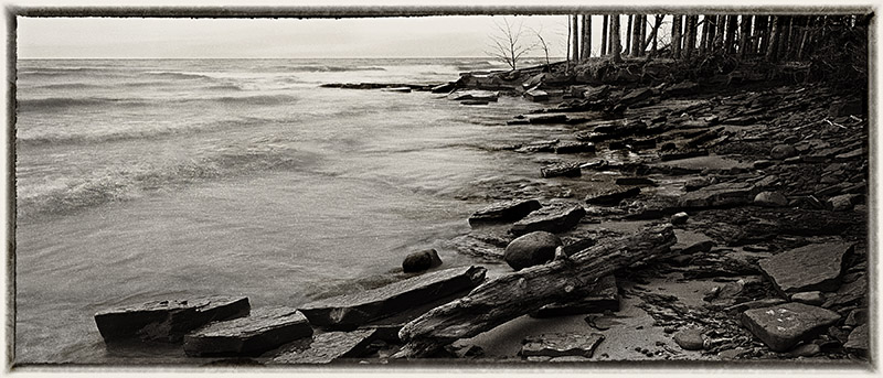 Holga Angulon Pan