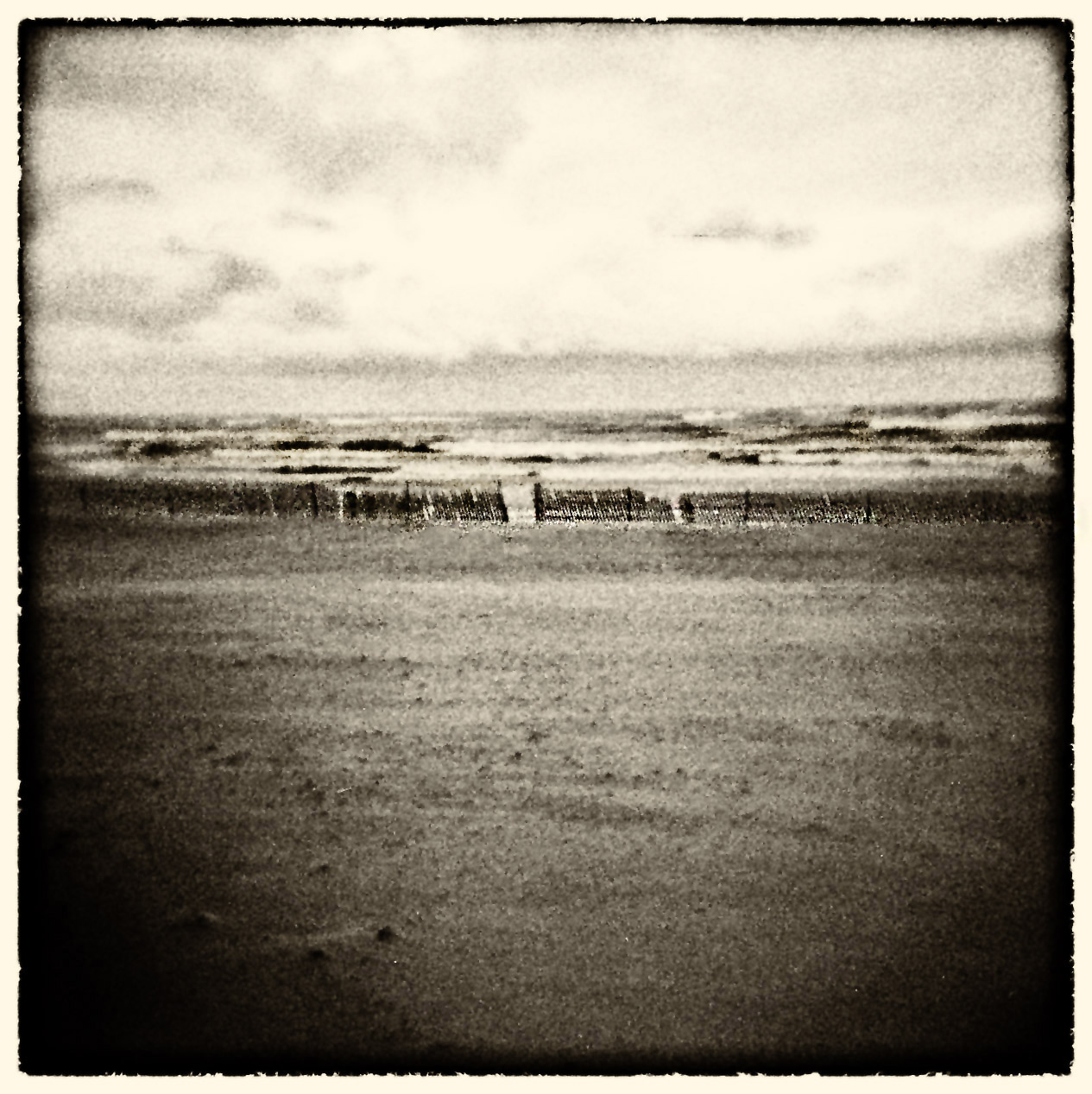 Holga 120N