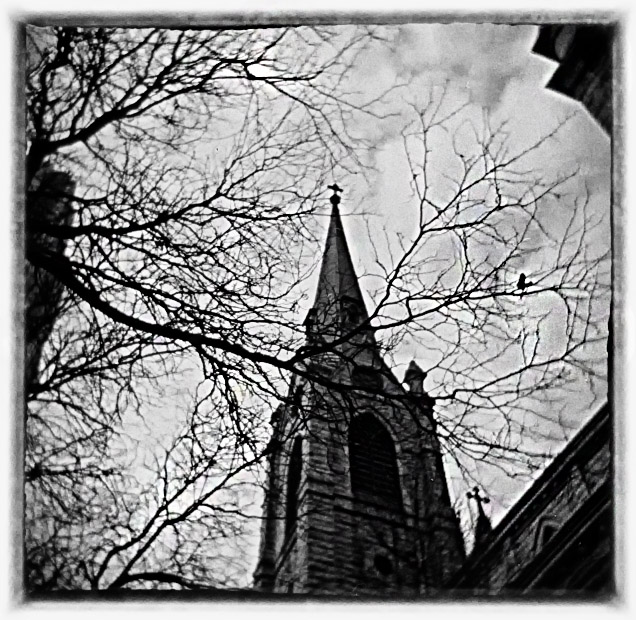 Holga 120N