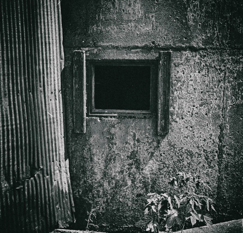 Hasselblad 503 with 80mm Planar