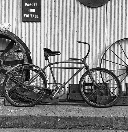 Rolleiflex 3.5F Xenotar w/ ilford FP4+ developed in Rodinal 1:50