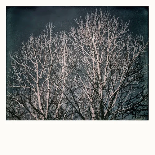 Polaroid Spectra Pro