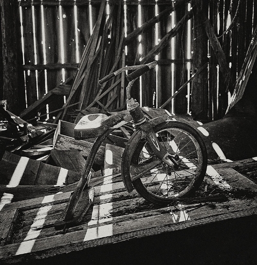 Rolleiflex 3.5F Xenotar
