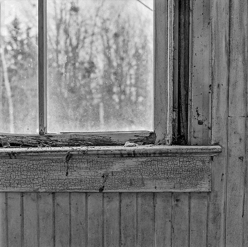 Hasselblad 501CM with 80mm Planar and Fomapan 100