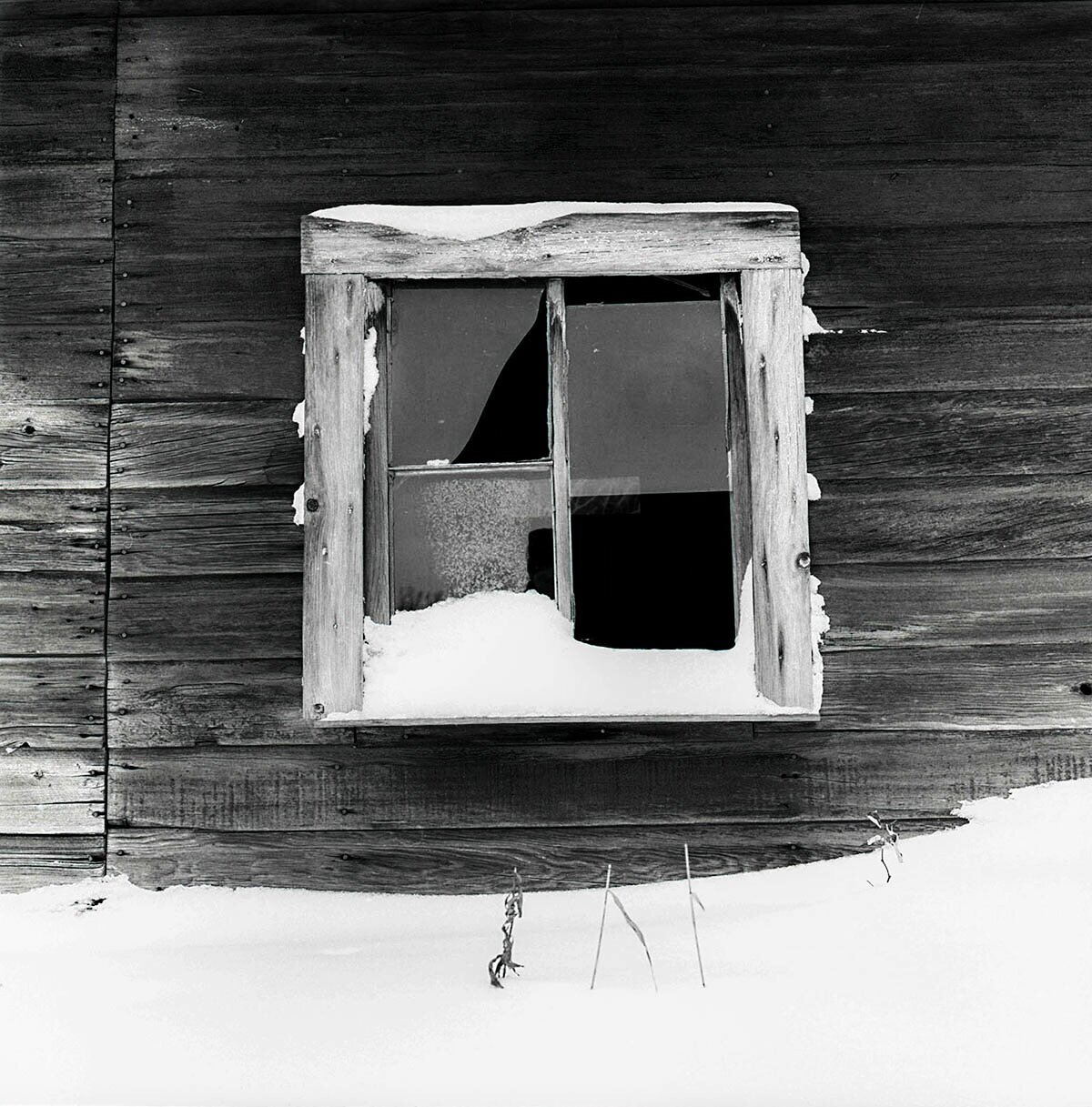 Window-Abandoned Farm