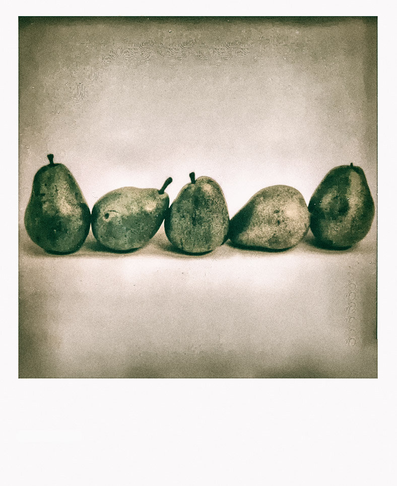 pears309.jpg