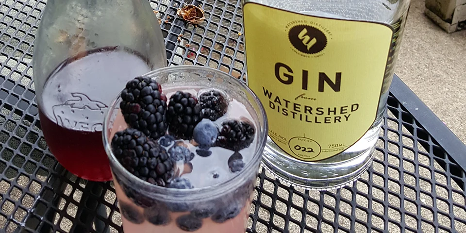 #100DaysOfCocktails - Day 10 - Gin Daisy
