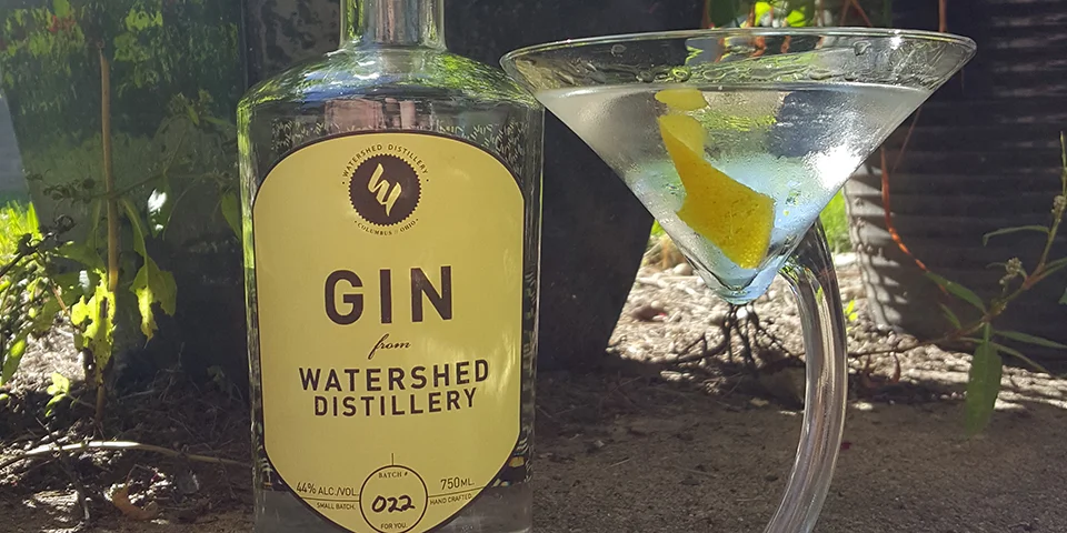 #100DaysOfCocktails - Day 14 - The Martini