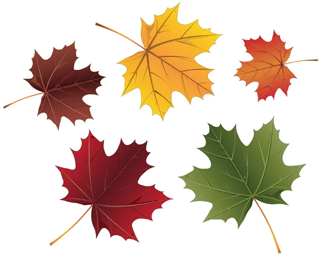 Fall Consignment Period!