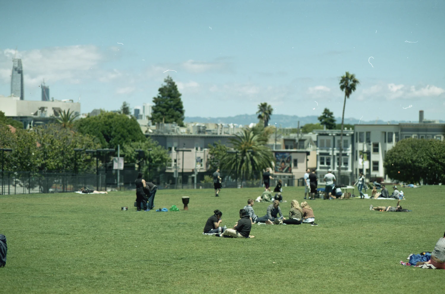 SF-CINESTILL05.jpg