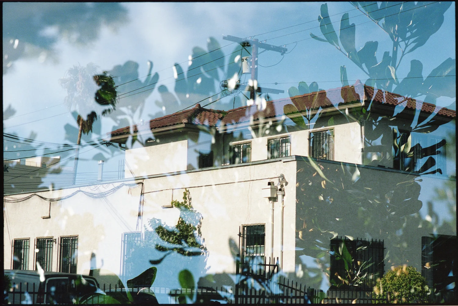 LA-PORTRA01.jpg