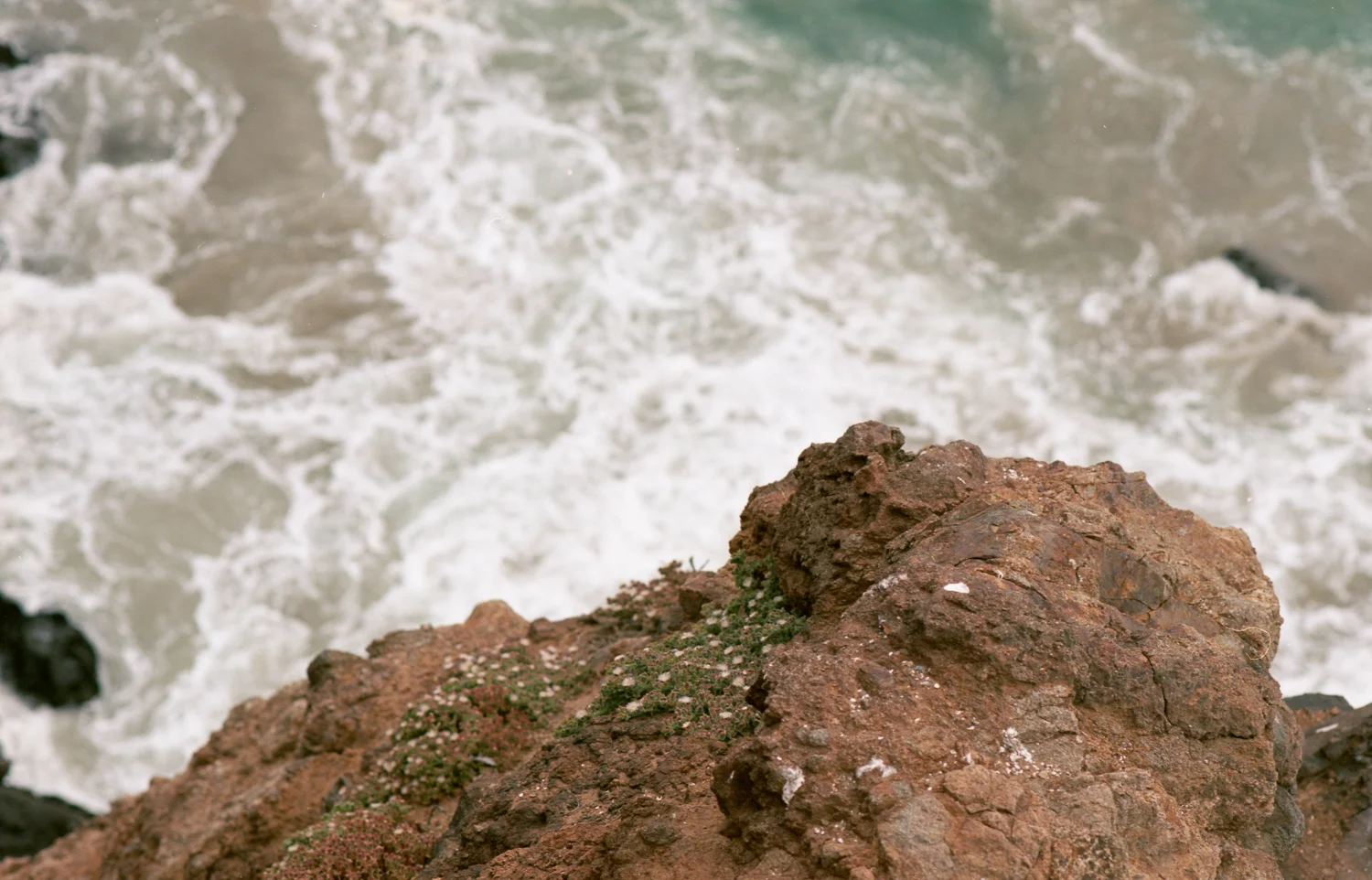 LA-EKTAR26.jpg