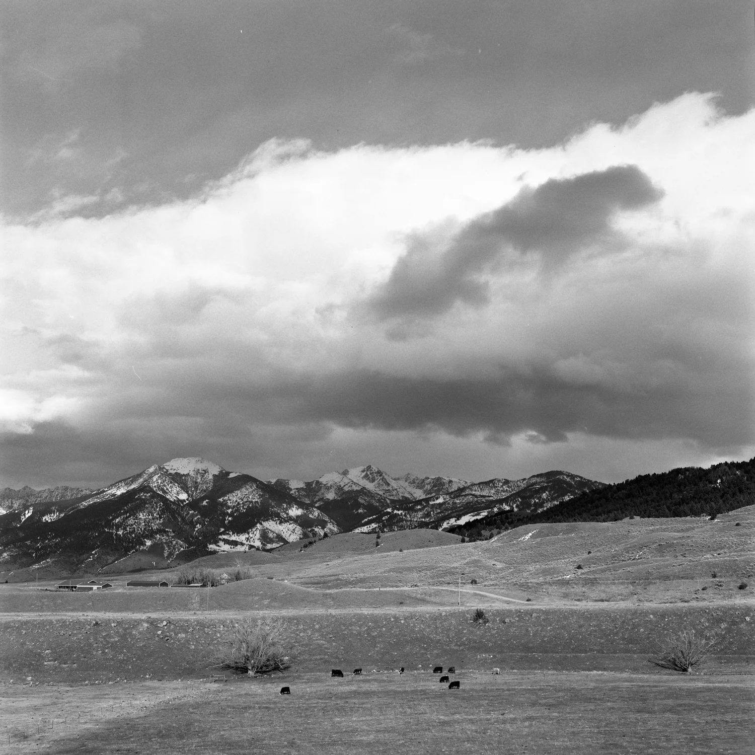 mtkodak_8.jpg