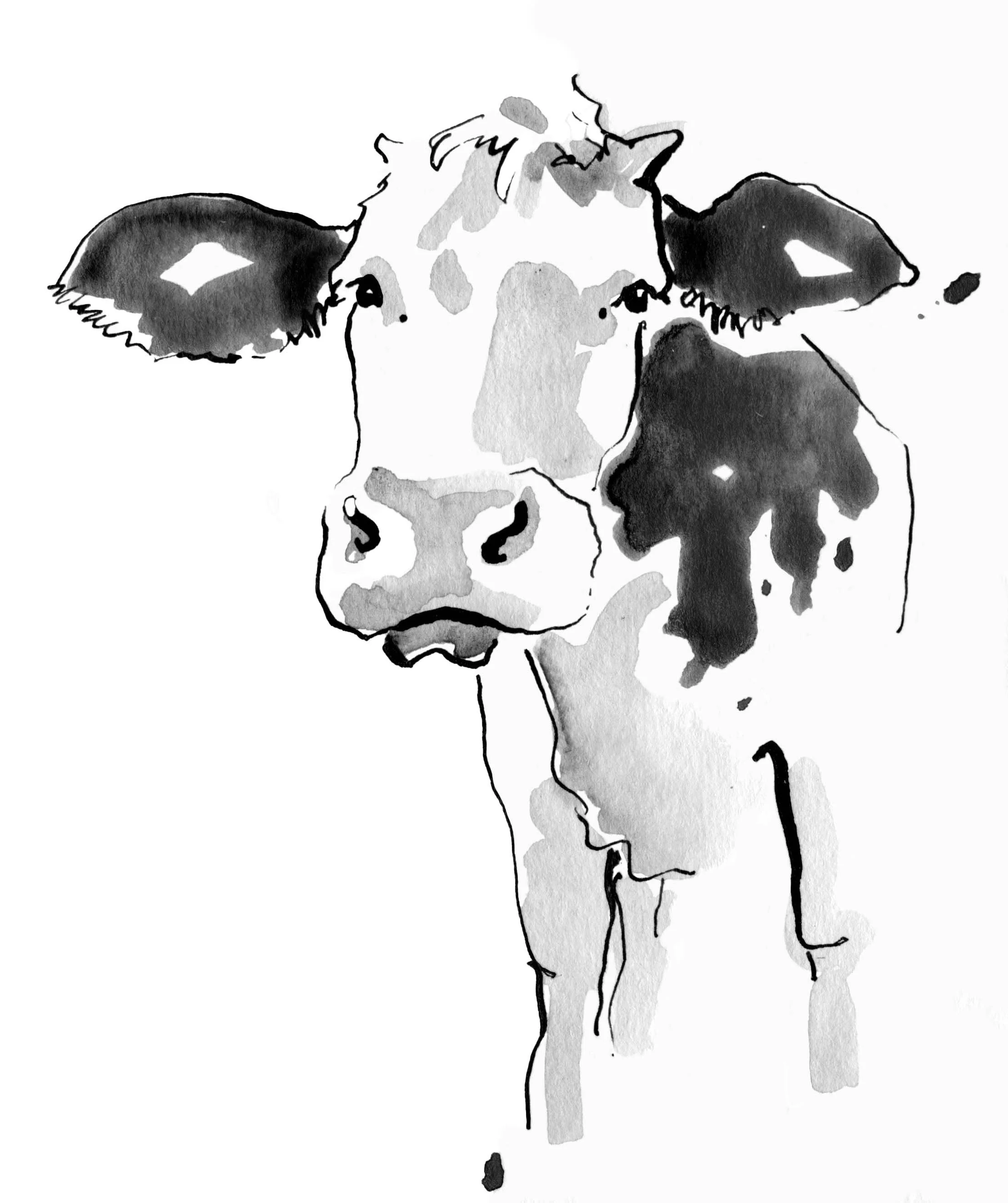 Cow1 final.jpg